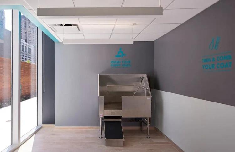 undefined apartments for rent - image - 9.webp