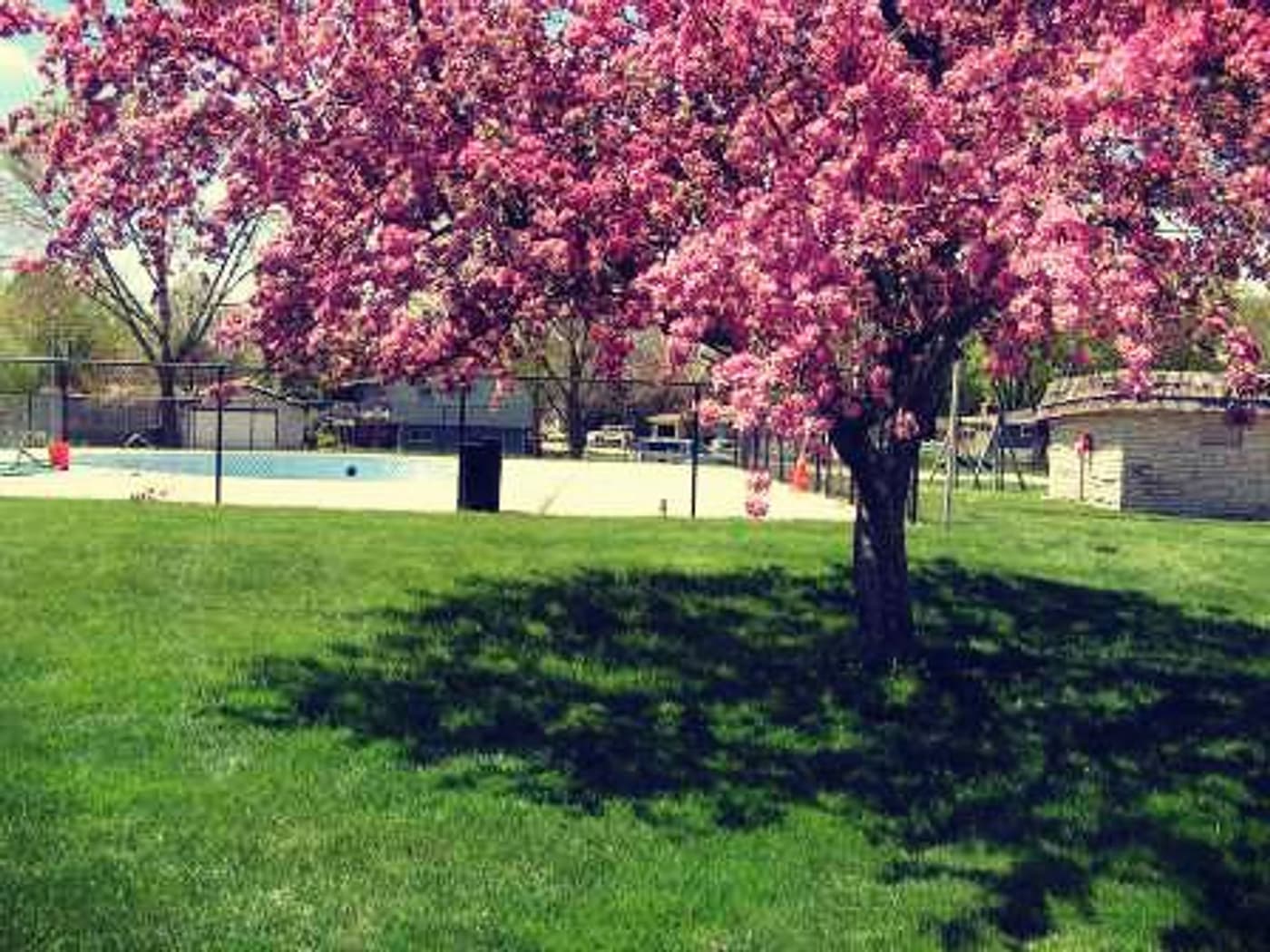 undefined apartments for rent - image - original.jpg_6.jpeg - 2