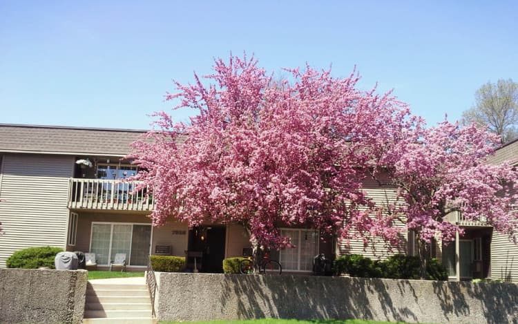 Oak Creek apartments for rent - image - wildwood-preserve-exterior886274-1920w.jpeg